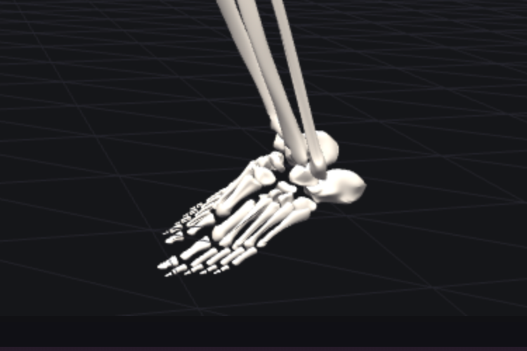 3D stage framed on the foot, with the estimated ground reaction force vector