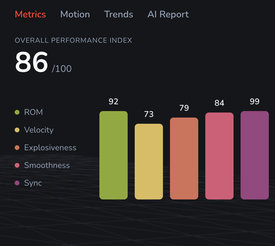 Overall Performance Index with per-metric breakdown